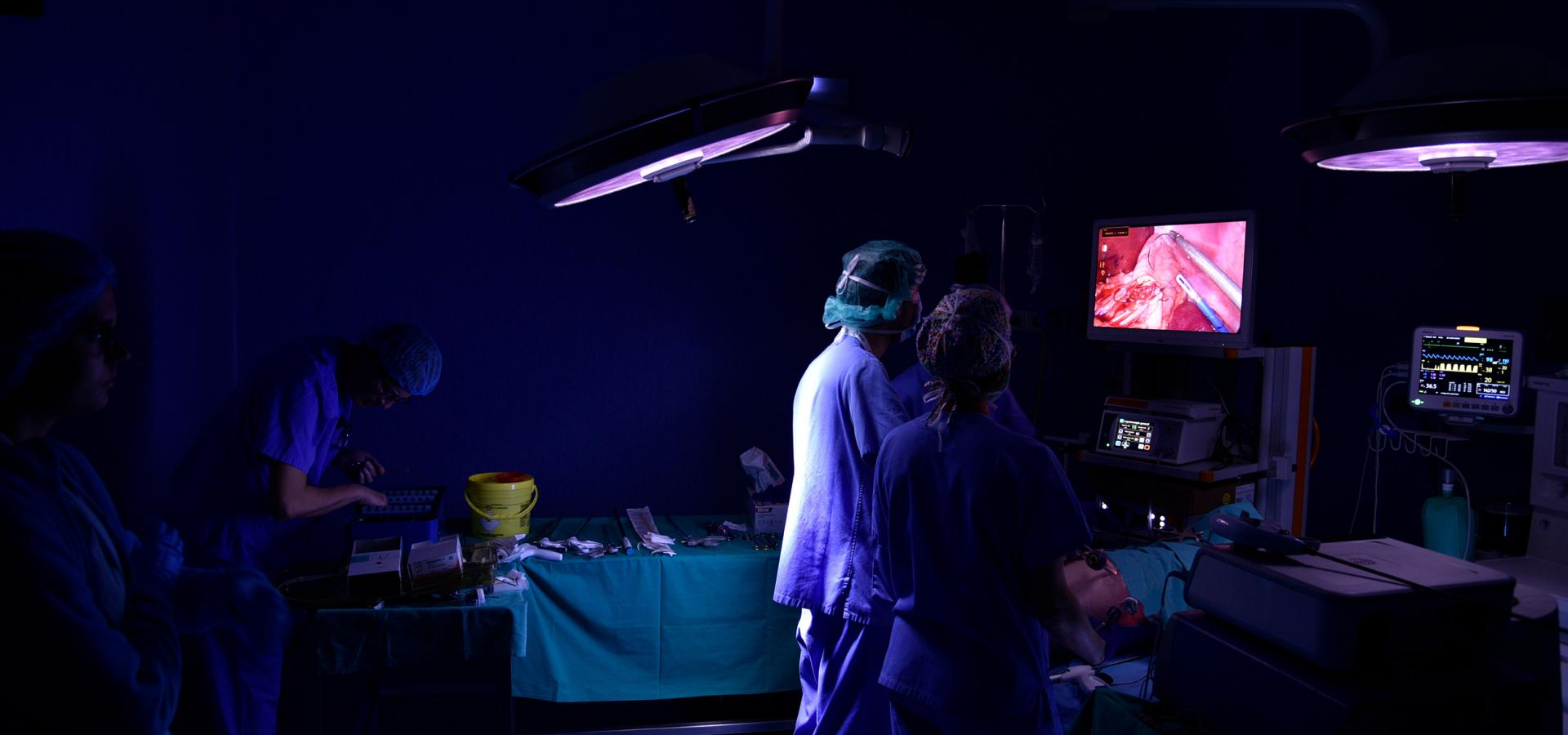 Biomodels Facilities and Experimental Operating Theater