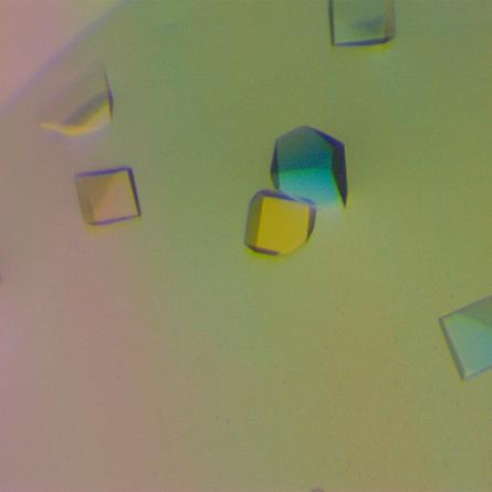Imagen representativa de Cristalografía de proteínas