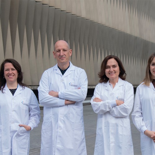 La Unidad de Patogénesis Microbiana desarrolla bacteriófagos sintéticos para combatir infecciones por Staphylococcus aureus