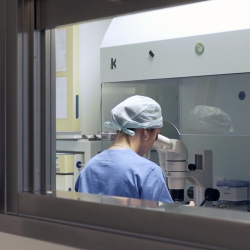 Aprobado el Plan de Investigación e Innovación en Salud 2026-2032 para dar respuesta a los actuales desafíos y fortalecer el sistema