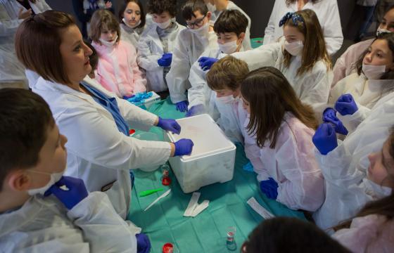 Niños y niñas del C.P. Ermitagaña realizan una práctica de laboratorio con profesionales del Biobanco de Navarrabiomed