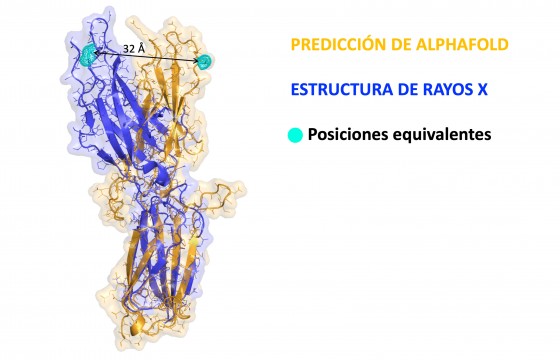 Figura 1