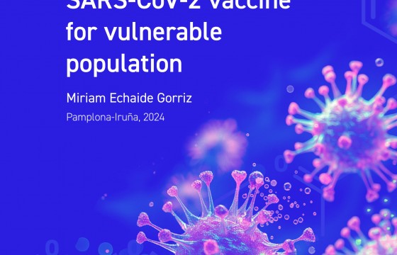 Portada de la tesis doctoral de Miriam Echaide